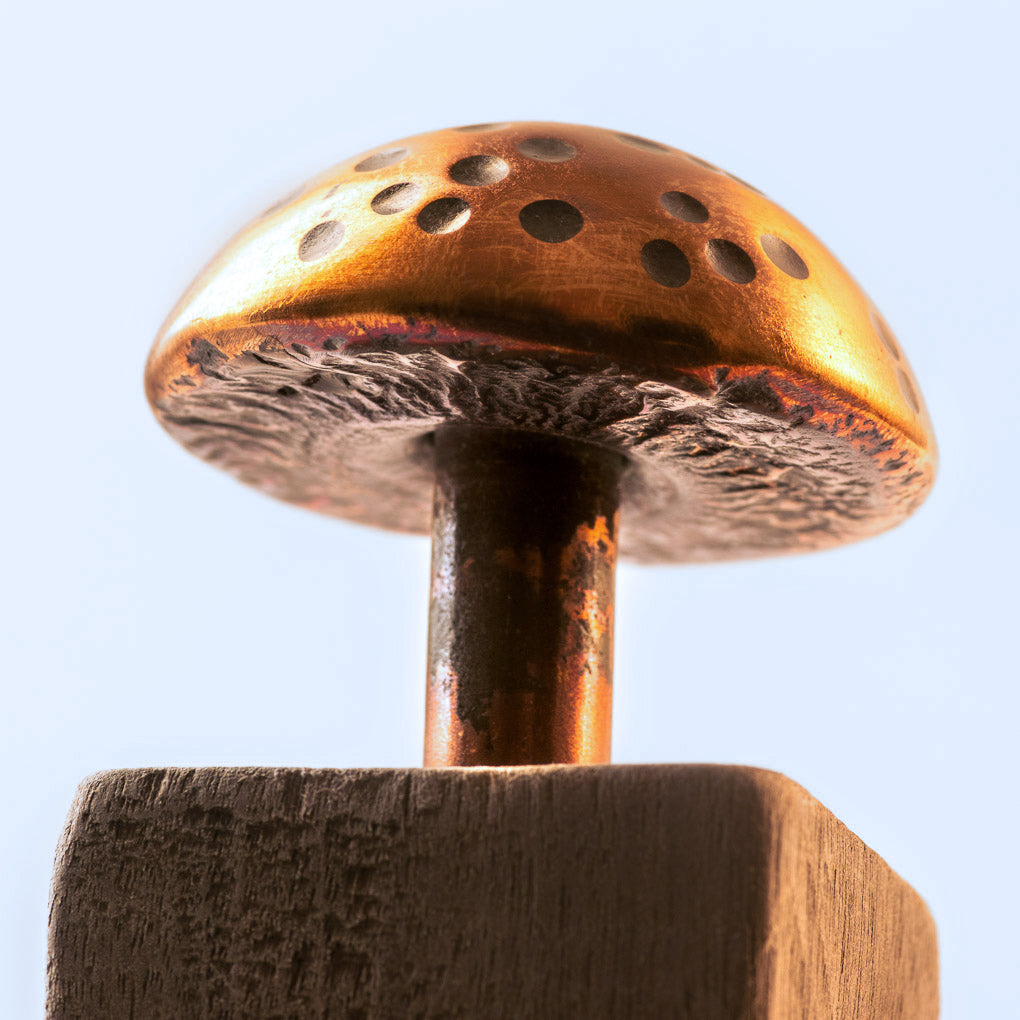 Copper Mushroom with Wood Stand